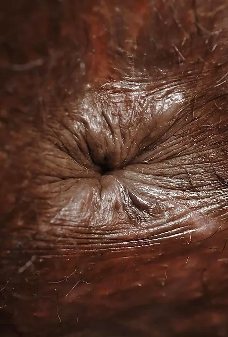 Симпатичная негритянка Жасмин заливает много масла в свою анальную дырочку